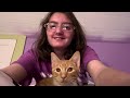 Ranting about things + my cats being chaotic and funny!!