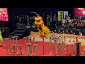 [FINAL] 🏆 14th Genting World Lion Dance Championship 2023 屆雲頂世界獅王爭霸賽 2023 - Singapore Yiwei Team B