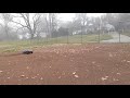 Xmaxx Getn Down & Dirty 8S R/C!