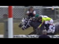 2016 Belmont Stakes is a photo finish