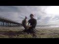 HUGE Halibut Fishing From the BEACH | FIRST CAST & NON-STOP ACTION