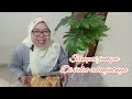 Crepes Crispy hanya pakai teflon #viral #youtuberpemula2023 #crepes #crispy