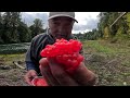 Twitching Jigs On The Cowlitz River With Bamboo Cane Pole