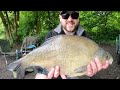 Method Feeder Fishing for HUGE Bream and Tench | Birkacre Big Lodge | Fishery Review