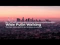 Song For Denise [Wide Putin Walking] | Quwapa Quwapus The Not So Remix/Cover