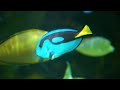 Aquarium 4K VIDEO ULTRA HD 🐠 Beautiful Relaxing Coral Reef Fish - Relaxing Sleep Meditation Music