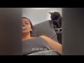 Cute and funny animals video compilation 😆 Best Funny Animal Videos 😍