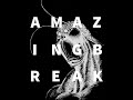 AMAZING BREAK