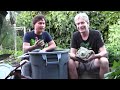 Best DIY Compost Tea Brewer made with a Garbage Can & PVC Pipe