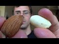 Almonds are a Fruit! - Green Almond Review - Weird Fruit Explorer - Ep. 107