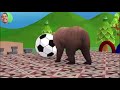 Long Slide Game With Elephant Gorilla Buffalo Hippopotamus Tiger - 3d Animal Game - Funny 3d Animals