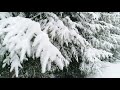 Enchanting Winter Wonderlands ❄️ 4K Snowy Winter Scenery with Beautiful Piano Music