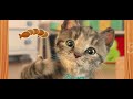 MY CUTE LITTLE KITTEN ADVENTURE AND FRIENDS  Best Learning cartoons Videos for kids and babies