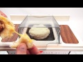 Big Burger Grill, Mini Cheeseburgers & Grilled Cheese! - Miniature Hamburger!