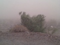 The dust storm...