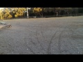 Losi 5ive playing on the gravel