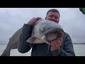 When to go shallow in the winter?  Shallow water Catfishing in cold water.