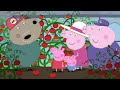 Happy Birthday Wendy Wolf 🎂 🐽 Peppa Pig and Friends Full Episodes