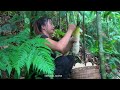 pregnant mother, go together to pick bamboo shoots, catch bamboo rats, farm life, SURVIVAL ALONE