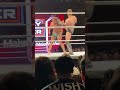 The Miz vs Matt Riddle: WWE Sunday Stunner 4/24/22 live reaction