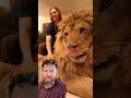 Why Is This Lion in A Living Room?