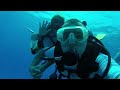 Diving USS KITTIWAKE wreck - Grand Cayman Island