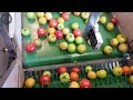 Satisfying Videos Food Processing Equipment That At Another Level ▶144