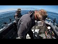 Pacific HALIBUT Fishing | Newport Oregon | Huge FISH