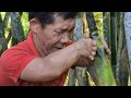 Harvesting bamboo shoots, processing and preserving bamboo shoots with her disabled father - Cooking