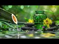Peaceful Music | Relaxing Music Relieves Stress, Anxiety and Depression | Bamboo, Water Sounds