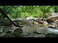 Marmala Waterfall Teekoy, Kottayam | Amazing visuals of Marmala Aruvi