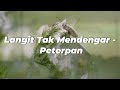 12 Lagu Top Hits Terbaik Peterpan | Lagu Tahun 2000an | Mungkin Nanti, Ku Katakan Dengan Indah