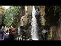Amsterdam Artis Zoo Waterfall slow-mo