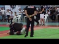 Fernando Cabeça   Copa Ellite Jiu Jitsu absoluto equipe) luta 2