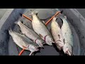 Rainbow Trout Kayak Fishing in Washington (Trolling & Casting for Stocked Trout)