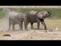 In 101 Clicks um die Welt - Faszination Massai Mara
