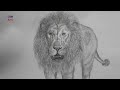 How To Draw Lion Sketch#lion #animals #art #pencilsketch #drawing #sketch