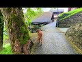 Wengen, Switzerland walking tour 4K - The most beautiful Swiss villages - Charming village