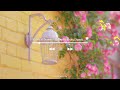 Calm piano music good to listen to in spring 🌸 Relaxing Piano Music