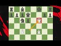Chess Beginner vs. Master | Explained