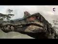 Spinosaur : the biggest dinosaur predator