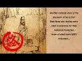 Chinese Etymology 茶 - 