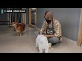 [WayV-ariety] 🐶🐱Visit The Animal Shelter | TEN X YANGYANG's Enjoy The Challenge! Ep.6