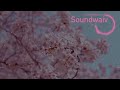 Soundwaiv - Cherry Blossom // Melodic House (Official Visualizer)
