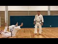 Goju Karate