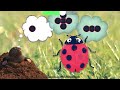 Cute Kitten Little Cat Adventure - Play Fun Pet Care - Preschool Educational Games | Episode 1092