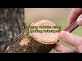 Pruning Apple Trees | Correcting and Training Young Apple Trees | Voice over version