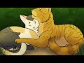 Warrior cats Tigerstar's family tree