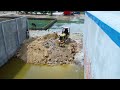 New Project!!! Dozer D20 & Truck 5T Push the ground down​ into water to make a Wearhouse!!