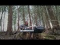 Tall Trees |  synthesiser drones, ambient guitar and birdsong in a longform forest improvisation :)
